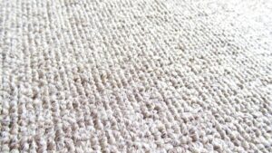 vg_why need to clean carpet